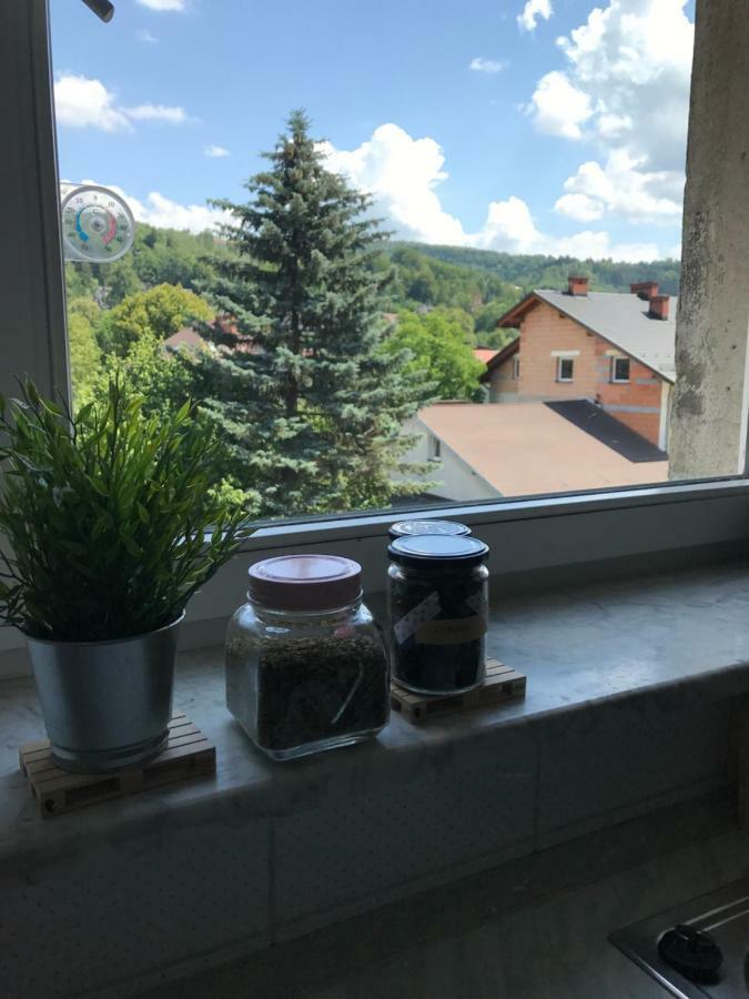 Apartament Przy Rynku 维斯拉 外观 照片