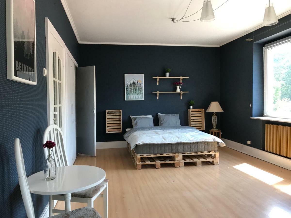 Apartament Przy Rynku 维斯拉 外观 照片