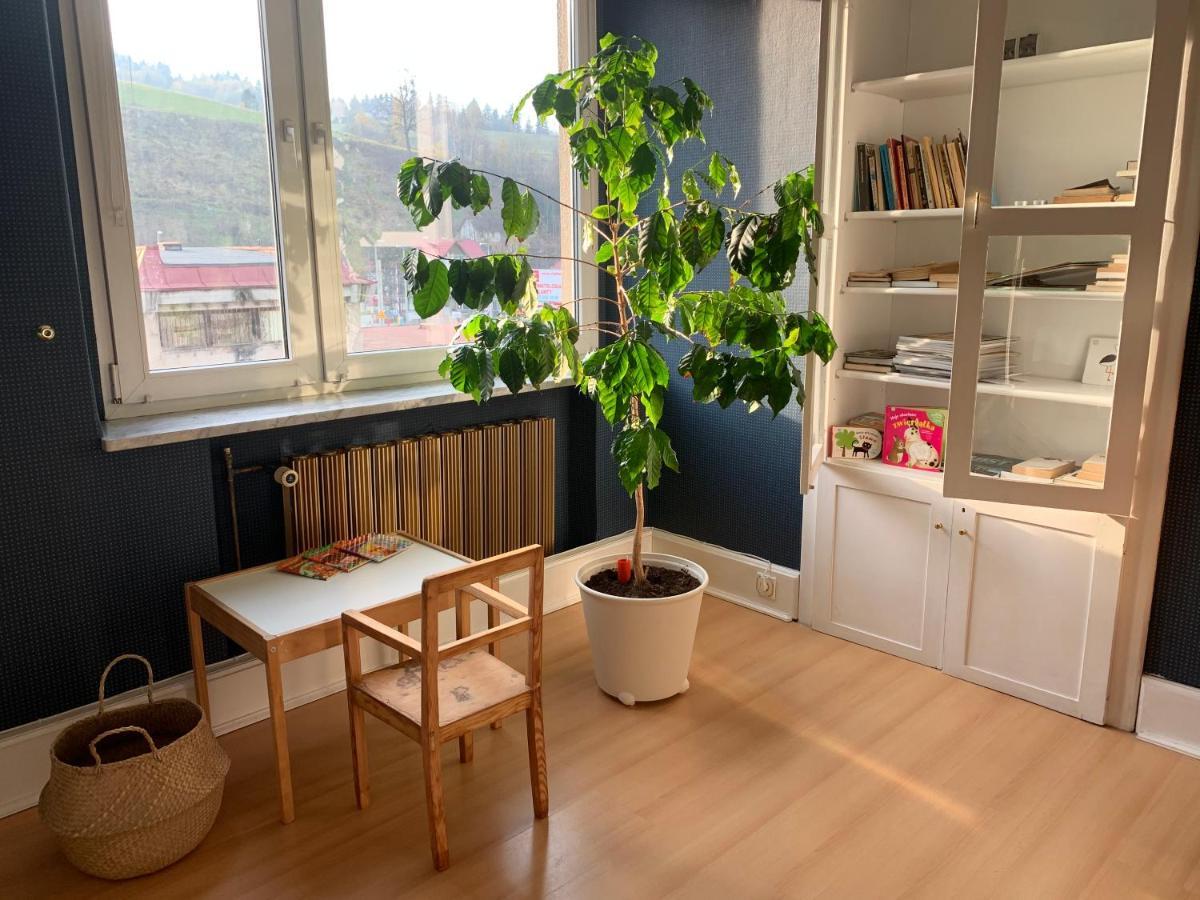 Apartament Przy Rynku 维斯拉 外观 照片